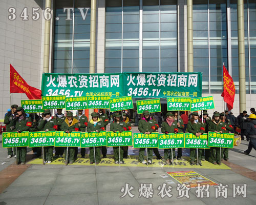 �҂��ԾG܊�b����A�����ľGɫ��M������