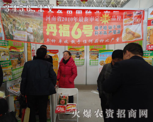 ���Ͻ�ɫ��@�N�����޹�˾