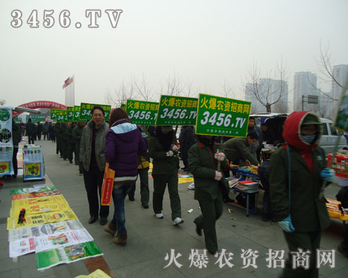 �Ï���Č����͌������ڵĸɄ�