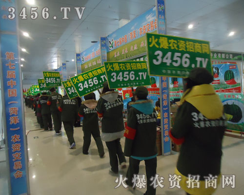 ������ƏV����ֻ���C���҂����е�����Ч����