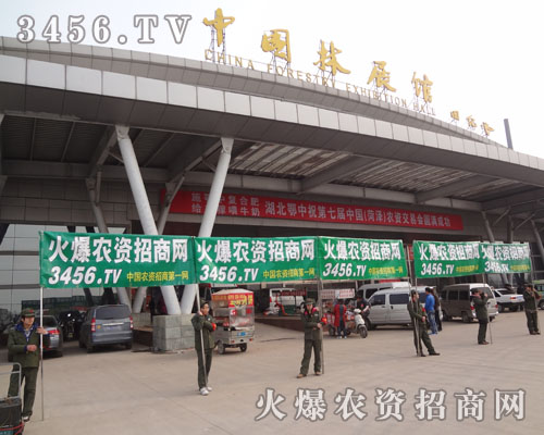 �挦��������;������ꠛ]��ֹ��