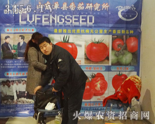 ɽ�|�οh�����о���2