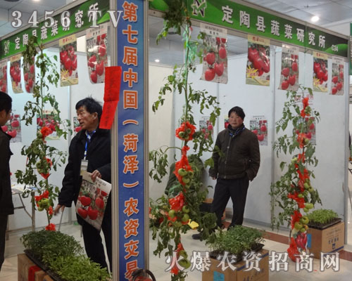 ���տh�߲��о���