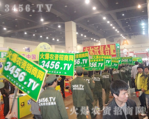 ����Ӣ�l(f��)�Ě�ģ���������ĵ������o����������ɫ��