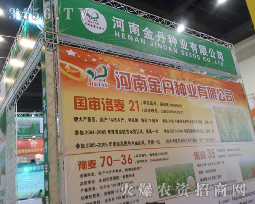 河南金丹種業(yè)有限公司