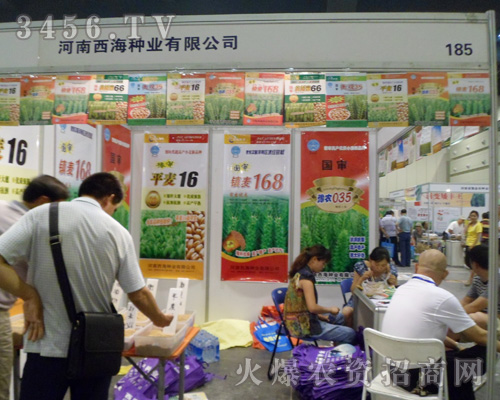 河南西海種業(yè)有限公司