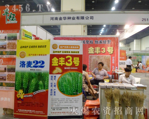 �������ݽ��A�N�I(y��)