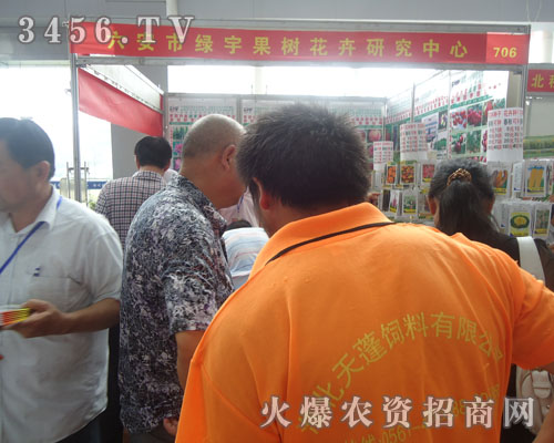 ���������G����仨���о�����