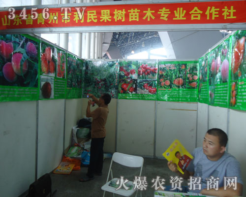 ɽ�|ʡ���u���������(sh��)��ľ������