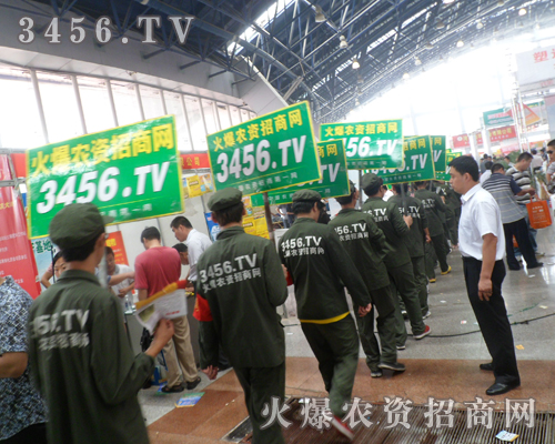 �ɹ����ڊ^��