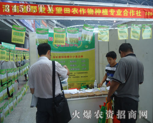 ۳��h�����r(n��ng)����Nֲ������