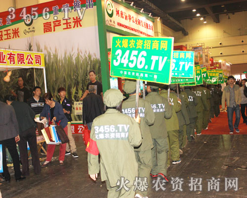 �͑���Ч�����҂���������