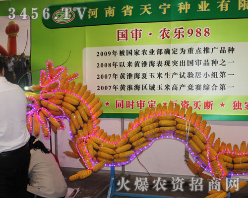 ׌����Ч�����ӊZĿ