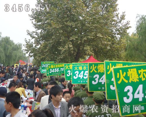 ���r(n��ng)�Y���̾W(w��ng)�ǰ�����