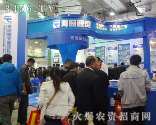 青島鯨靈海洋科技有限公司