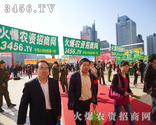 ɽ�|ֲ�����ϣ��𱬾W(w��ng)����(chu��ng)�º��_���M�е���