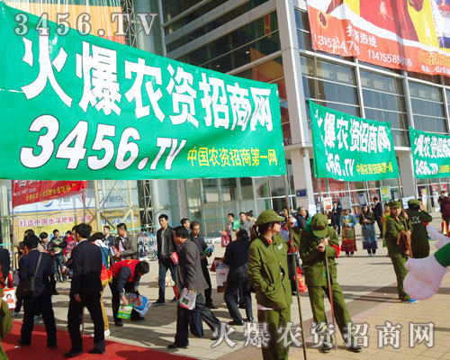 �𱬾W(w��ng)������һ֧�ܸ���ƴ�ľ�Ӣ�F(tu��n)�(du��)