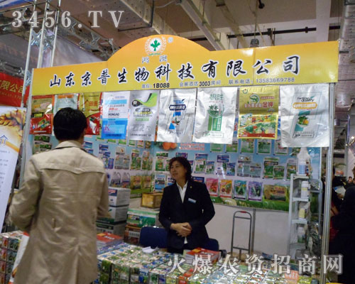 ɽ�|��������