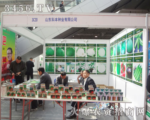 山東科豐種業(yè)有限公司