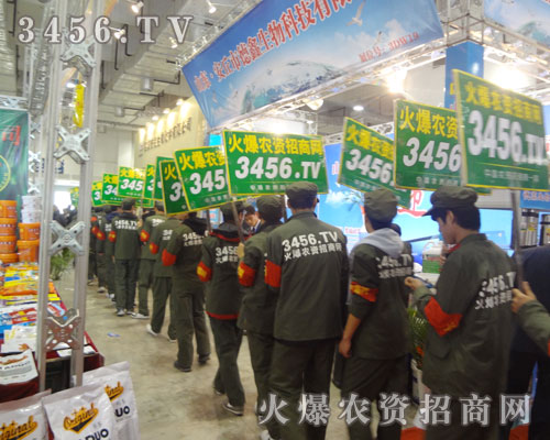 �𱬾W(w��ng)׌���Ҋ(ji��n)�Cһ֧̤��(sh��)�ϸɵĈF(tu��n)�(du��)