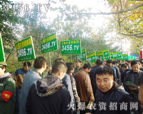 �Gɫ܊�b�����V��͑��P(gu��n)ע��Ŀ�������(sh��)����