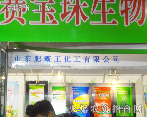 山東肥霸王化工有限公司