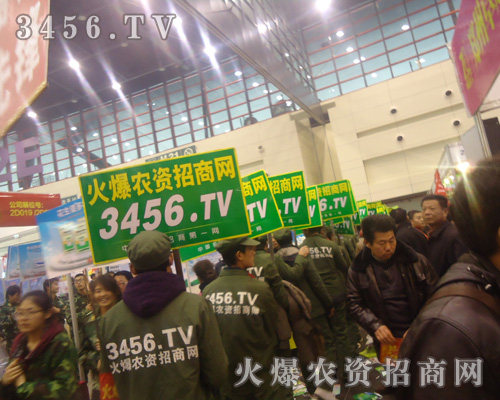 �ɿ�(j��)�ǿ���и�Ĵ�ƴ��(chu��ng)�������