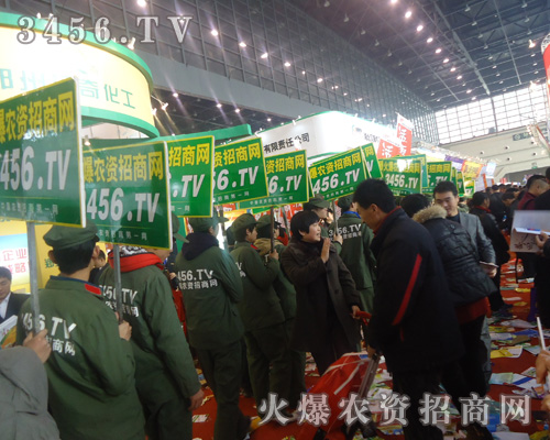 可愛耀眼的綠色軍裝讓人大開眼界