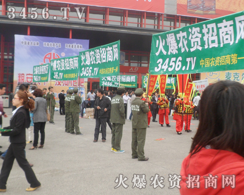 �����̾W��2013���ݷ����p�����^��ƴ����