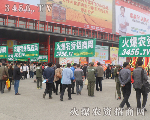 �峿�����r(n��ng)�Y���̾W(w��ng)���(du��)��̤���˲�