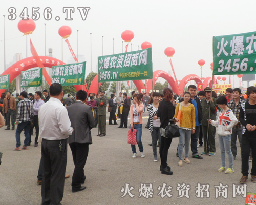 ���r(n��ng)�Y�W(w��ng)����Ӱ׌��ӛ�����