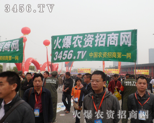 ���r(n��ng)�Y�W(w��ng)��ÿ�������ˆT�M�ıM�����]������