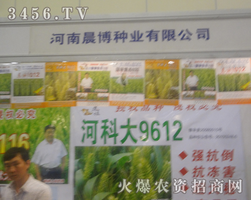 河南晨博種業(yè)在種子會風采迷人