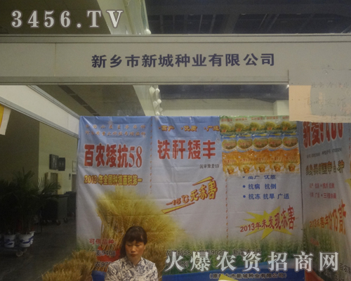 ���l(xi��ng)���³ǷN�I(y��)���޹�˾��2013���������߲˷N�ӕ�������