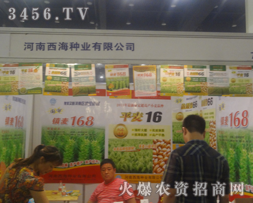 �������r(n��ng)�N�I(y��)�����ݷN�ӕ�(hu��)�ϑ�(zh��n)��(j��)�x����