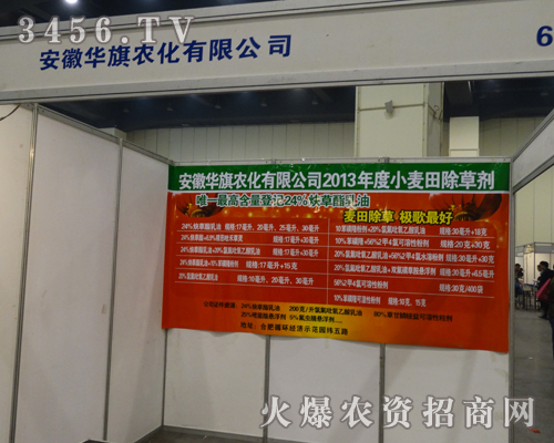 �����A���ß���ӭ��2013�����＾�N�ӕ�(hu��)�ĵ���(l��i)