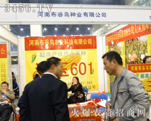 �����B�N�I(y��)�ɹ�����2013���ݷN�ӕ�