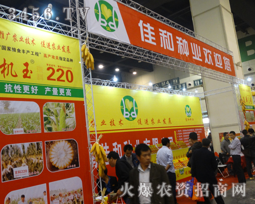 ���ϼѺͷN�I(y��)��2013ֲ����(hu��)��չ��(hu��)��ݺꂥ