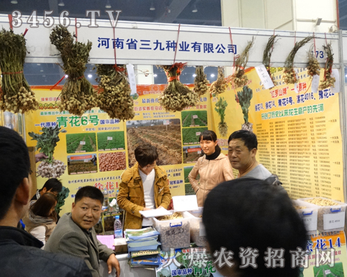 ���ŷN�I(y��)�����̤�M(j��n)2013�����＾�N�ӕ�(hu��)