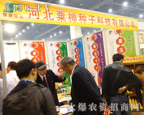 �ӱ�����N����2013���ݷN�ӕ������β���