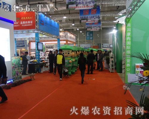 ��������ȫ���Ը�