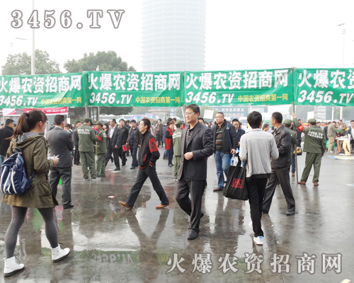 �������������̻�