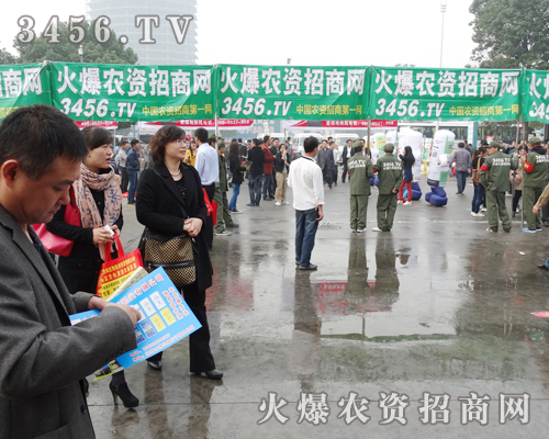 ���۲��ϵĻ��r(n��ng)�Y���̾W(w��ng)�Z���׏�(f��)�ʕ�(hu��)�Ą���