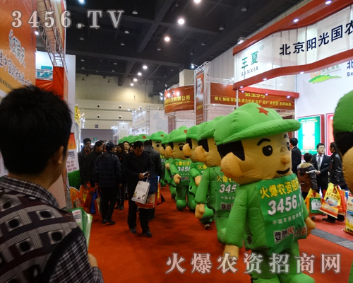 ��������·�ϣ��҂���Ȼǰ��