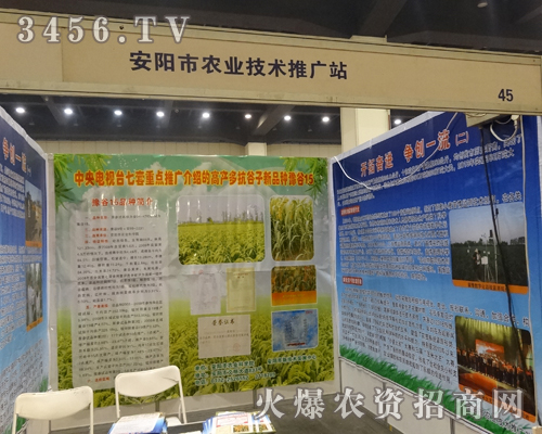 ������r�I(y��)���g�ƏVվ����2014�в��r�Y��