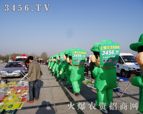 �����Gɫ܊�b������������