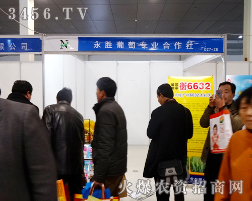 �������Ѻ������ٴ�ӭ���µęC��