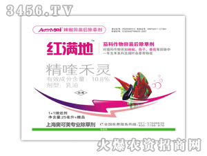 �t�M��-�����������݄�