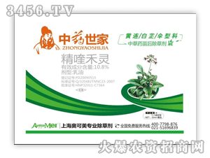 ��ˎ����-�����݄�