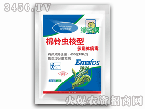 �G���-����x���Ͷ���w����